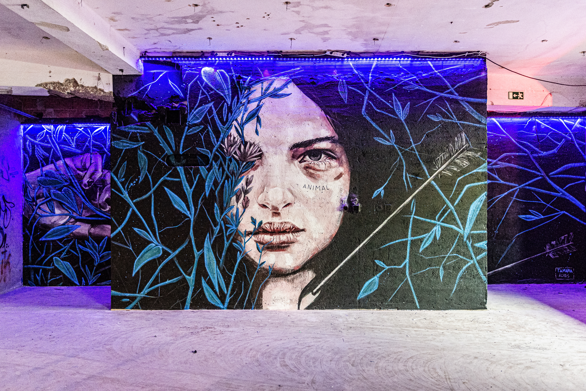 Tamaraalves7 ©Artistcredit