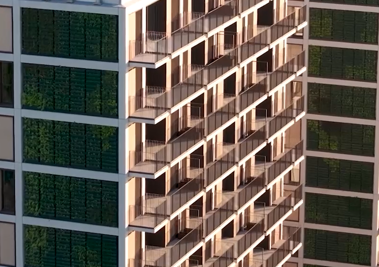 Captura De Ecrã 2025 01 06 163844